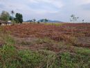 ขายที่ดิน - ขายที่ดินแปลงงาม ราคาดี เขตบ้านบึง คลองกิ่ว ชลบุรี