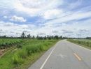 ขายที่ดิน - ขายที่ดินห้วยใหญ่ 2 ไร่ ถนนเทศบาล1ซอย43 ติดถนนบายพาสพัทยา-มาบตาพุด อ.บางละมุง ชลบุรี