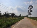 ขายที่ดิน - ขายที่ดินแปลงสวย เขตหนองใหญ่ ชลบุรี ใกล้นิคมเอเชียคลีน
