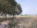 ขายที่ดิน - ขายที่ดินมาบยางพร ปลวกแดง ระยอง ใกล้นิคมอมตะซิตี้ นอกนิคม