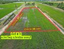 ขายที่ดิน - ขายที่ดิน 2 ไร่ ราคาต่ำกว่าตลาด ทำเลทอง ต.ไทรใหญ่ อ.ไทรน้อย จ.นนทบุรี จากถนนโยธาธิการ นนทบุรี 2038 เข้าซอยเพียง 300 เมตร