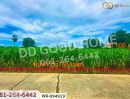 ขายที่ดิน - ที่ดินทุ่งคอก 6 ไร่ 110 ตร.ว. สุพรรณบุรี ใกล้สำนักงานขนส่ง สาขาอำเภอสองพี่น้อง
