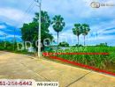 ขายที่ดิน - ที่ดินทุ่งคอก 6 ไร่ 110 ตร.ว. สุพรรณบุรี ใกล้สำนักงานขนส่ง สาขาอำเภอสองพี่น้อง