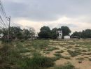 ขายที่ดิน - ขายที่ดินตรงข้ามอุทยานหินล้านปีฟาร์มจระเข้พัทยา ต.หนองปลาไหล อ.บางละมุง จ.ชลบุรี