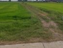 ขายที่ดิน - ขายที่นา 100 ไร่ ตำบลหมอนทอง อำเภอบางน้ำเปรี้ยว จังหวัดฉะเชิงเทรา