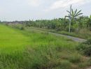 ขายที่ดิน - ขายที่นา 100 ไร่ ตำบลหมอนทอง อำเภอบางน้ำเปรี้ยว จังหวัดฉะเชิงเทรา