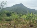 ขายที่ดิน - ที่ดินภูเขาสลับซับซ้อน ติดถนนลาดยาง หนองหญ้าปล้อง