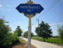 ขายที่ดิน - ขายที่ดินถมแล้ว 247 ตรว. ติดถนนคอนกรีต ถ.เลียบคลองบางโพธิ์ใต้ ปากซอยทับทิมแลนด์ 2 หมู่ 7 ปทุมธานี