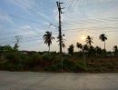 ขายที่ดิน - ขายที่ดินแปลงสวย ทำเลดี ติดถนนหลักตะเคียนเตี้ย (นาวัง) บางละมุง ชลบุรี