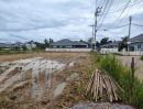 ขายที่ดิน - ขายที่ดินตำบลสันผักหวานหางดงติดถนนวิวท้องนาพร้อมโอน