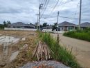 ขายที่ดิน - ขายที่ดินตำบลสันผักหวานหางดงติดถนนวิวท้องนาพร้อมโอน