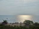 ขายคอนโด - ขายคอนโด grand florida beachfront condo resort pattaya อ.สัตหีบ จ.ชลบุรี