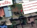 ขายที่ดิน - ขายที่ดิน 120 ตารางวา ซอยบุญคุ้ม3 คลอง1 ลำลูกกา ปทุมธานี