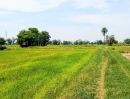 ขายที่ดิน - ที่นาแปลงสวย ใกล้ถนนลาดยาง ต.หนองตาด อ.เมืองบุรีรัมย์
