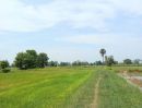 ขายที่ดิน - ที่นาแปลงสวย ใกล้ถนนลาดยาง ต.หนองตาด อ.เมืองบุรีรัมย์