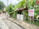 ขายที่ดิน - ขายที่ดิน 92ตร.ว หมู่บ้านชัยพฤกษ์ 1 ถนนคุ้มเกล้า ลาดกระบัง