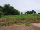 ขายที่ดิน - ขายที่ดิน หนองเสือคลอง 10 ถนนรังสิต-นครนายก ตำบลบึงกาสาม อำเภอหนองเสือ ปทุมธานี