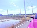 ขายที่ดิน - ขายหรือให้เช่าที่ดิน ขนาดใหญ่ ราคาดี ทำเลบางเลน จ.นครปฐม