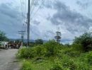 ขายที่ดิน - ขายที่ดินตำบลช้างเผือกทำเลดีใกล้แยกข่วงสิงห์โฉนด