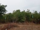 ขายที่ดิน - ขายที่ดินเปล่า ใกล้ชุมชน ท่องเที่ยว พระพุทธบาท (เหมาะกับลงทุน )