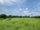 ขายที่ดิน - ที่ดินเชิงเกษตรทำเลดี วิหารแดงสระบุรี1.79ล้านบาท