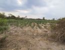 ขายที่ดิน - ขายที่ดินแปลงสวย ที่สะแบง หนองหาน อุดรธานี