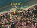 ขายที่ดิน - ประกาศ ขายที่ดินทำเลสวย ติดทะเล เกาะสมุย