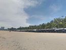 ขายที่ดิน - ขายที่ดินสัตหีบ แปลงสวย ทำเลทอง ติดชายหาดบ้านอำเภอ