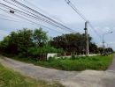 ขายที่ดิน - ขายด่วน ที่ดินเปล่า 1 ไร่ ขายรวม 4 แปลง ถนนลำลูกกา คลอง 12 เข้าซอยเพียง 500 เมตร