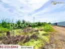 ขายที่ดิน - ที่ดินคลองสอง 1 ไร่ 19.1 ตร.ว. ปทุมธานี ใกล้ฟิวเจอร์พาร์ค รังสิต