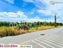 ขายที่ดิน - ที่ดินคลองสอง 377.7 ตร.ว. ปทุมธานี ใกล้ฟิวเจอร์พาร์ค รังสิต