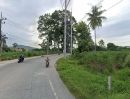 ขายที่ดิน - ขายที่ดินบึง ศรีราชา 12 ไร่ ซอยบ้านดอนนุ่น-วังค้อ ใกล้ท่าเรือแหลมฉบัง-13กม. ใกล้นิคมปิ่นทอง2-5กม. จ.ชลบุรี
