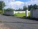 ขายที่ดิน - ขายที่ดินตำบลน้ำแพร่หางดงล้อมรั้วติดถนนพร้อมโอน