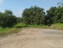 ขายที่ดิน - ขายสวนลำไยพร้อมบ่อปลา ห่างทางหลวงเพียง 140 เมตร