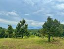 ขายที่ดิน - ขายสวนทุเรียน 11 ไร่ พร้อมบ้านสวยสไตส์รีสอร์ท วิวเขา