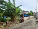 ขายที่ดิน - ขายที่ดิน 25 ตารางวา ซอยประชาอุทิศ 54 แยก 9