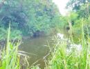 ขายที่ดิน - ขายที่ดินติดน้ำ ปากช่อง วังไทร คลองม่วง เขาใหญ่ นครราชสีมา 4.5 ไร่ ไร่ละ 1.5ล้าน ใกล้2235 Tayama ที่ติดคลองวิวเขาสวยมาก ใกล้ชุมชน วัดหินดาด ไม่เปลี่ยว