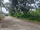 ขายที่ดิน - ขายที่ดินวิวสวยๆแปลงหัวมุม ถนนรอบ 4 ด้านโซนตรงกลาง ในหมู่บ้านสวนนนทรีย์แยกรวมโชค แบ่งแยกโฉนดเรียบร้อบแล้วพร้อมสร้างบ้าน