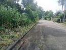 ขายที่ดิน - ขายที่ดินวิวสวยๆแปลงหัวมุม ถนนรอบ 4 ด้านโซนตรงกลาง ในหมู่บ้านสวนนนทรีย์แยกรวมโชค แบ่งแยกโฉนดเรียบร้อบแล้วพร้อมสร้างบ้าน