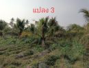 ขายที่ดิน - ขายที่ดิน เปล่า 3 แปลง หนองไผ่แก้ว บ้านบึง ชลบุรี เดินทางสะดวก ใกล้ถนน (331) TP-L1810