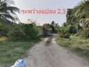 ขายที่ดิน - ขายที่ดิน เปล่า 3 แปลง หนองไผ่แก้ว บ้านบึง ชลบุรี เดินทางสะดวก ใกล้ถนน (331) TP-L1810