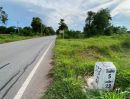 ขายที่ดิน - ขายถูกที่สุด ที่ดินติดถนนโนนไทย-ขามสะแกแสง 14-3-47 ไร่ เหมาะลงทุน และทำธุรกิจ ต.มะค่า อ.โนนไทย จ.นครราชสีมา