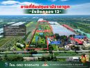 ขายที่ดิน - ขายที่ดินปทุมธานี รังสิตคลอง 12 ตำบลนพรัตน์ อำเภอหนองเสือ ติดถนน 100 เมตร ใกล้โรงเรียนวัดนพรัตนาราม