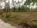 ขายที่ดิน - ขายที่ดินหัวหว้า ศรีมหาโพธิ 1 ไร่ ติดถนนทล.ชนบทใกล้ถนนสี่เลน3070-100เมตร อ.ศรีมหาโพธิ ปราจีนบุรี