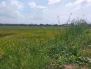 ขายที่ดิน - ขายที่ดิน ที่นา บางคล้า ฉะเชิงเทรา ขนาด 6-3-22ไร่ มีน้ำ มีไฟฟ้า มีเพื่อนบ้าน หน้ากว้าง 110เมตร เดินทางสะดวก ใกล้ถนน 304 ถนน3121