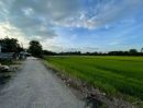 ขายที่ดิน - ที่นา 11-0-31 ไร่ แปลงสวย ใกล้ อบต.บ้านกลับ ตำบลบ้านกลับ อำเภอหนองโดน จังหวัดสระบุรี
