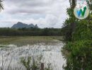 ขายที่ดิน - ขายที่ดิน อำเภอควนขนุน จังหวัดพัทลุง ราคาพิเศษ