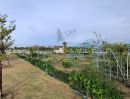 ขายที่ดิน - บ้านและที่ดิน โครงการบ้านสวนไม้งาม คลอง 15 พร้อมสวนผสม ระบบสปริงเกอร์รดน้ำ น้ำ-ไฟฟ้าครบ
