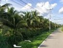 ขายที่ดิน - ขายสวนมะพร้าวอ่อนตำบลหนองแฝกสารภีโฉนดพร้อมโอน