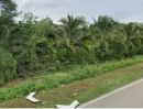 ขายที่ดิน - ขายสวนมะพร้าวอ่อนตำบลหนองแฝกสารภีโฉนดพร้อมโอน